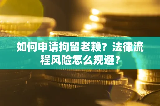 武汉如何申请拘留老赖？法律流程风险怎么规避？