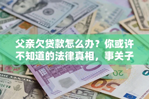 武汉父亲欠贷款怎么办？你或许不知道的法律真相，事关子女未来