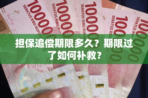武汉担保追偿期限多久？期限过了如何补救？