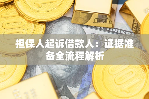 武汉担保人起诉借款人：证据准备全流程解析
