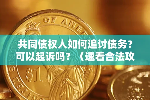 武汉共同债权人如何追讨债务？可以起诉吗？（速看合法攻略）