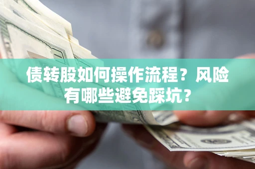 武汉债转股如何操作流程?风险有哪些避免踩坑? 武汉债转股如何操作流程?风险有哪些避免踩坑?