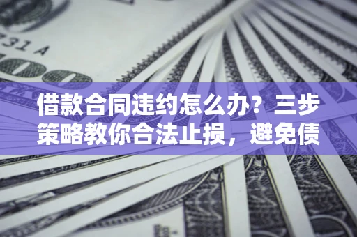 武汉借款合同违约怎么办？三步策略教你合法止损，避免债务危机升级