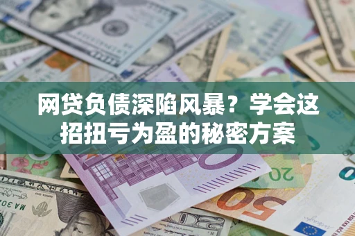 武汉网贷负债深陷风暴？学会这招扭亏为盈的秘密方案