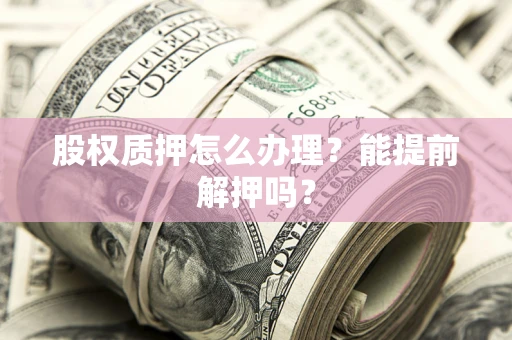 武汉股权质押怎么办理？能提前解押吗？